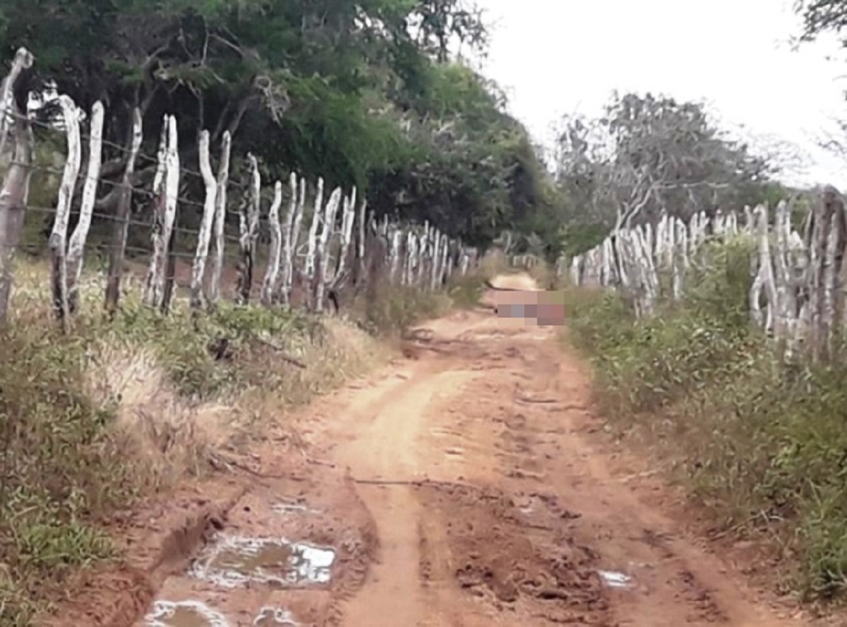 Chacina deixa quatro mortos na zona rural de Serra Preta, na Bahia