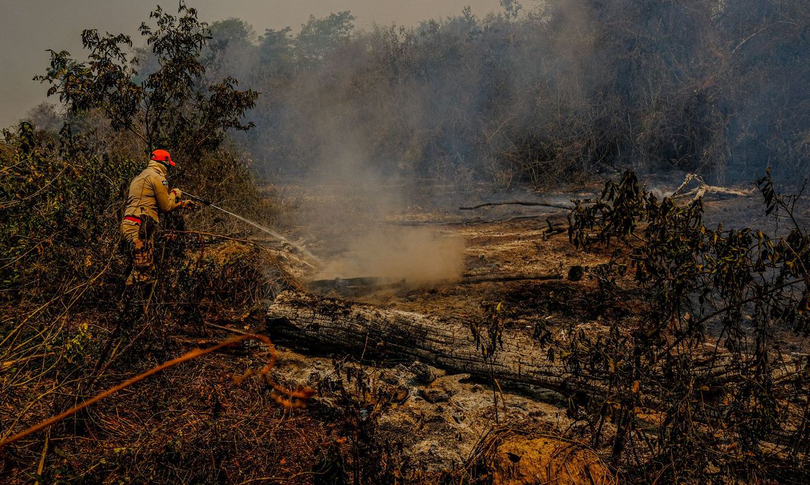 Fogo já destruiu 3,461 milhões de hectares do Pantanal