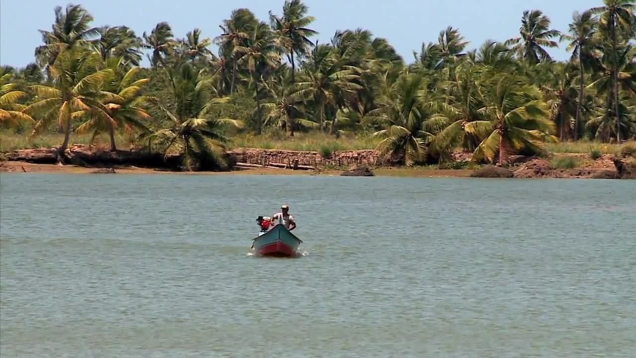 VÍDEOS: Gazeta Rural de domingo, 25 de outubro