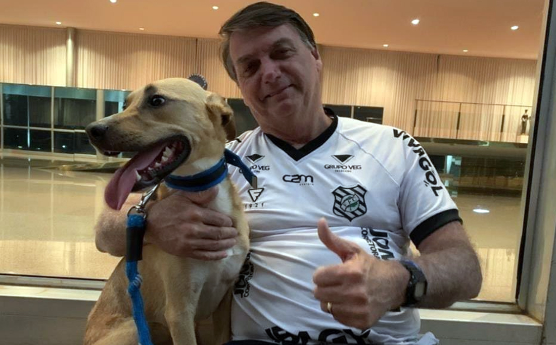 Bolsonaro posta foto ao lado de cão e diz: 'vacina obrigatória só no Faísca'