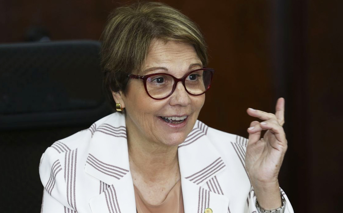 Pantanal: ministra da Agricultura diz que ‘mais gado’ poderia minimizar queimadas