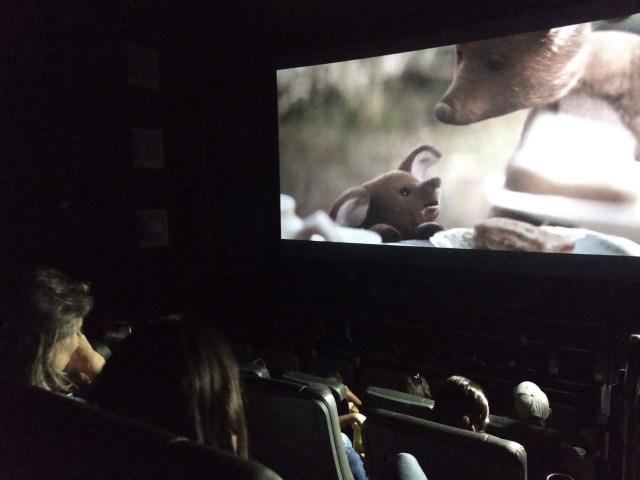 Prefeitura de Maceió publica protocolo para cinemas e teatros, mas não há data para reabertura