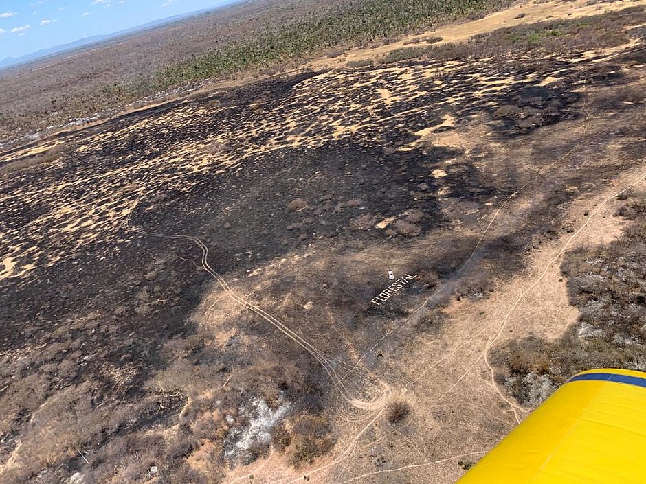 Incêndio em Barra: Corpo de Bombeiros encontra ‘vários focos em locais diversos’