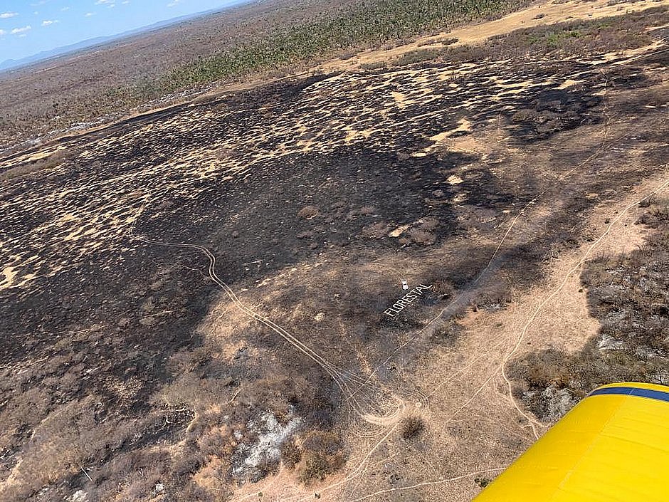 Incêndio em Barra: Corpo de Bombeiros encontra 'vários focos em locais diversos'