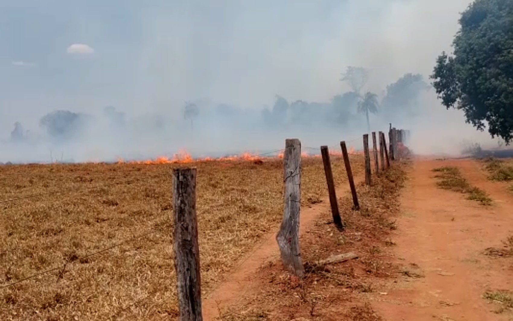 Dona de fazenda chora ao filmar área destruída pelo fogo, em Carmo do Rio Verde; vídeo