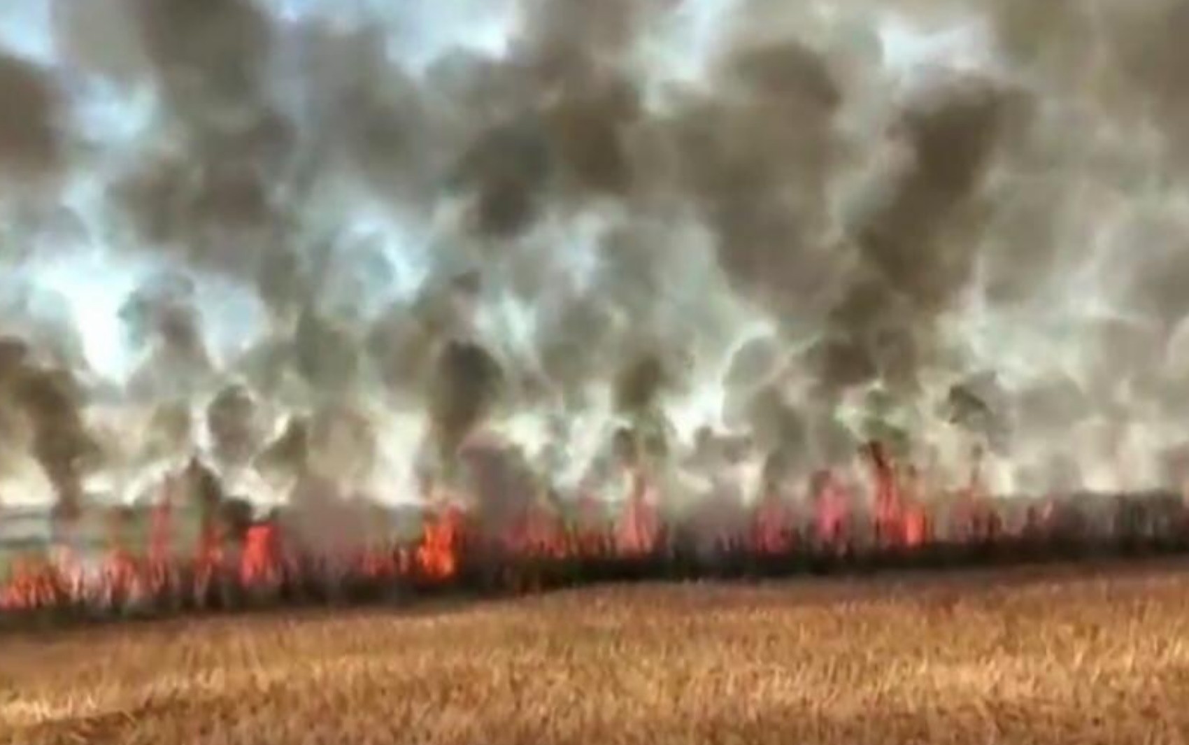 Produtores rurais usam aviões privados no combate a incêndios em Goiás