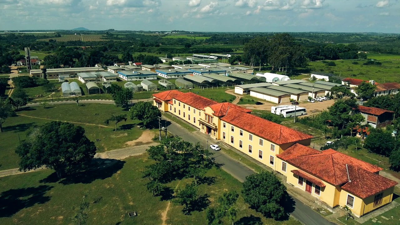 UFRB inscreve para 200 vagas de pós-gradução, com seleção virtual