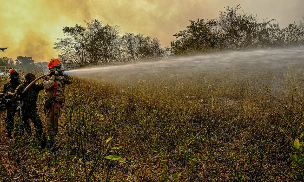 Governo manda 71 soldados para reforçar combate a fogo no Pantanal