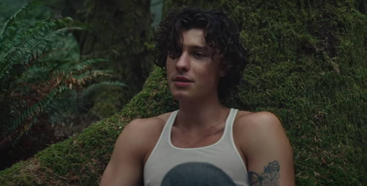 Shawn Mendes luta contra o ego em trailer de documentário; confira