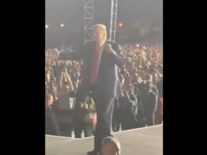 Eleições nos EUA: Trump dança durante comício na Flórida; assista 