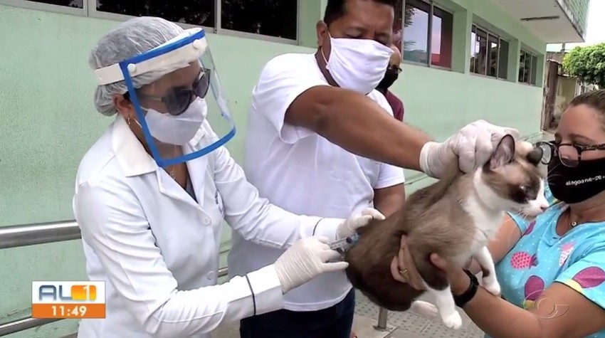 Veja em quais bairros de Maceió acontece a próxima etapa da vacinação de cães e gatos contra a raiva