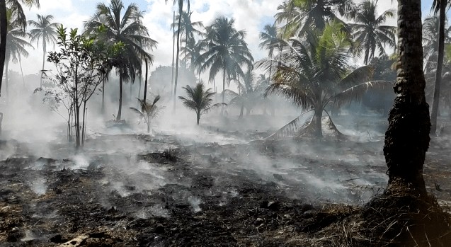 Corpo de Bombeiros registra oito ocorrências de  fogo em vegetação em diferentes pontos de Alagoas