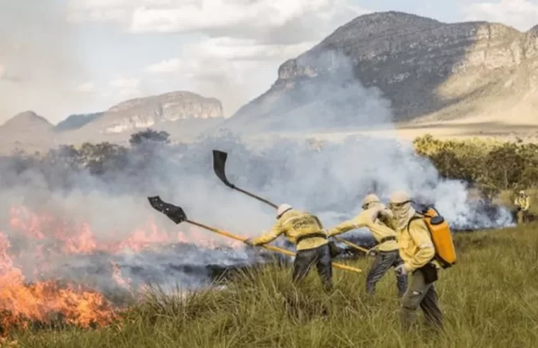 Como fogo é usado para evitar incêndios no Cerrado e Pantanal