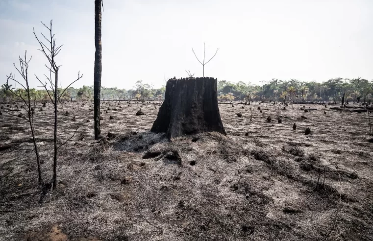 8 dos 10 municípios que mais emitem gases do aquecimento global no Brasil estão na Amazônia