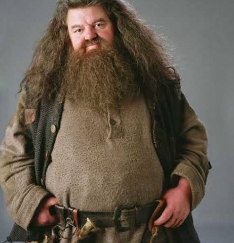 Robbie Coltrane, o Hagrid de ‘Harry Potter’, morre aos 72 anos