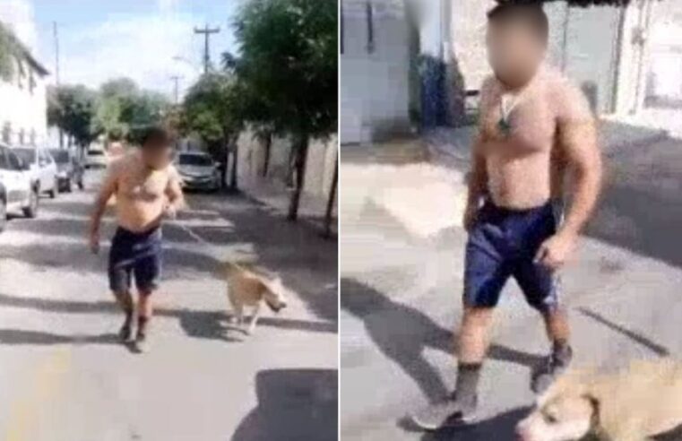 Moradores denunciam tutor de pitbull de usar cão para atacar outros animais no Ceará