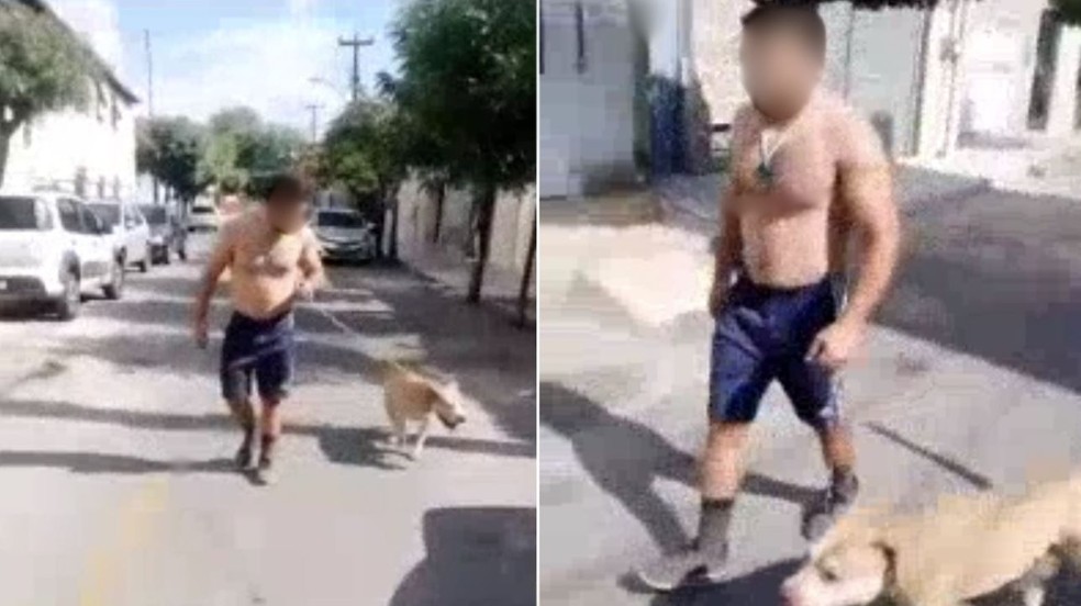 Moradores denunciam tutor de pitbull de usar cão para atacar outros animais no Ceará