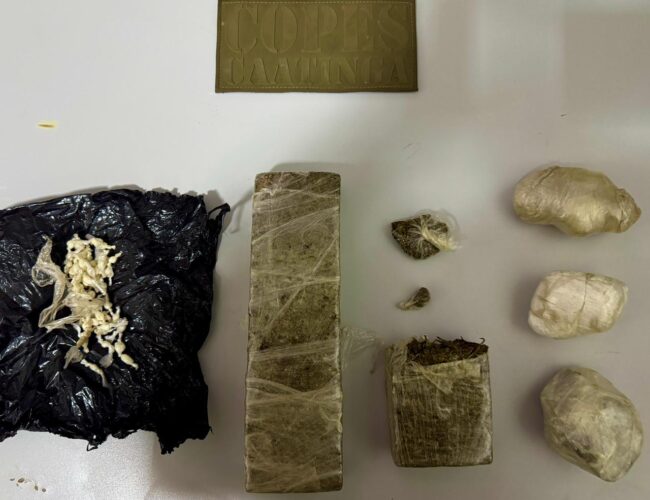 Polícia detém jovem de 21 anos por tráfico de entorpecentes em Piranhas