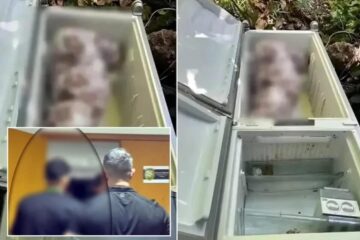 Assassino da sogra é sentenciado por crime macabro.