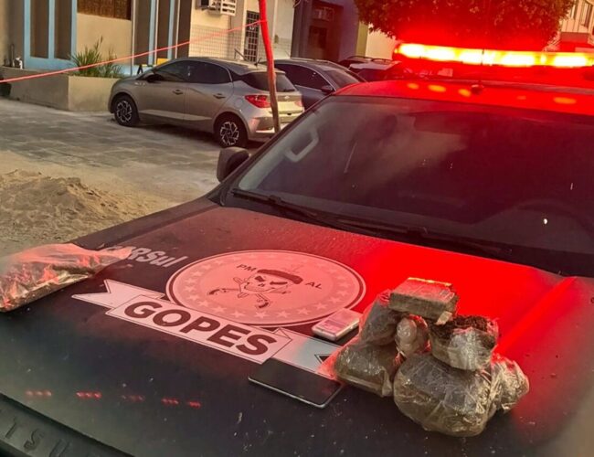 Pelopes da 1ª Companhia captura traficante com mais de dois quilos de maconha em Campo Alegre