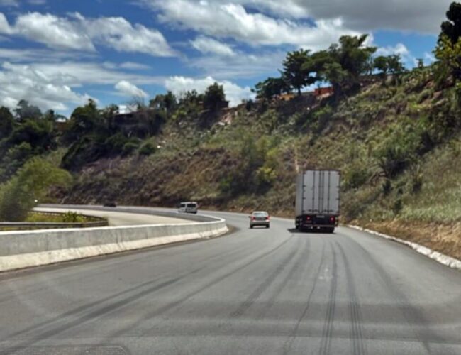 Decisão judicial confirma impedimento de consórcio em concorrência para gestão ambiental de obras na BR 101