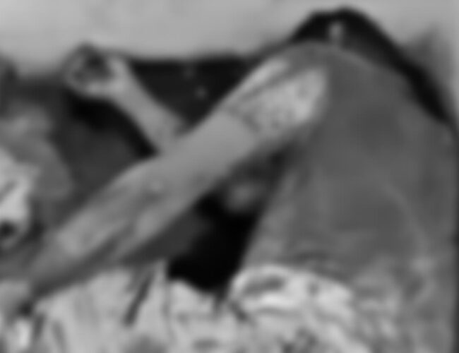 Novo óbito é contabilizado em Boca da Mata após assassinato no final de semana