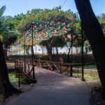 Olinda Dá Gosto vira refúgio gastronômico no meio da folia