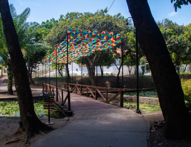 Olinda Dá Gosto vira refúgio gastronômico no meio da folia