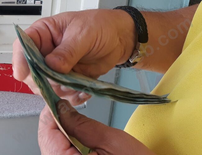 Pagamento do abono salarial tem início no início desta semana