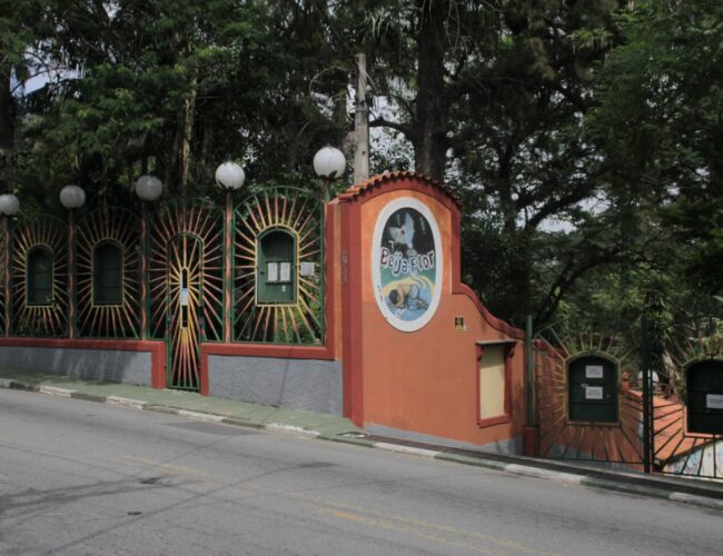 Rede Cultural Beija-Flor leva jovens de comunidades ao ensino superior com projeto Meninas Valentes